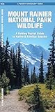 Mount Rainier National Park Wildlife (Nature Observation North America)