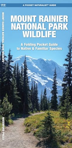 Mount Rainier National Park Wildlife (Nature Observation North America)