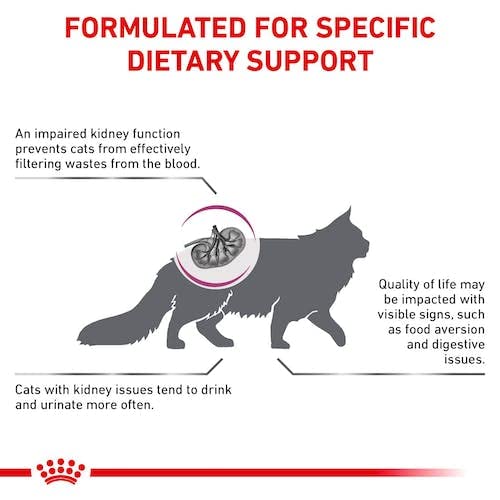 Royal Canin Veterinary Renal | Doppelpack | 2 x 400 g | Diät-Alleinfuttermittel für ausgewachsene Katzen | Zur Unterstützung bei Nierenproblemen | Mit niedrigem Phosphorgehalt