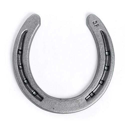 The Heritage Forge Steel Horseshoes Set for Horses, Crafts, Decorations and Backyard Games - Size 0 - R3-F - Sand Blasted 20 Shoes