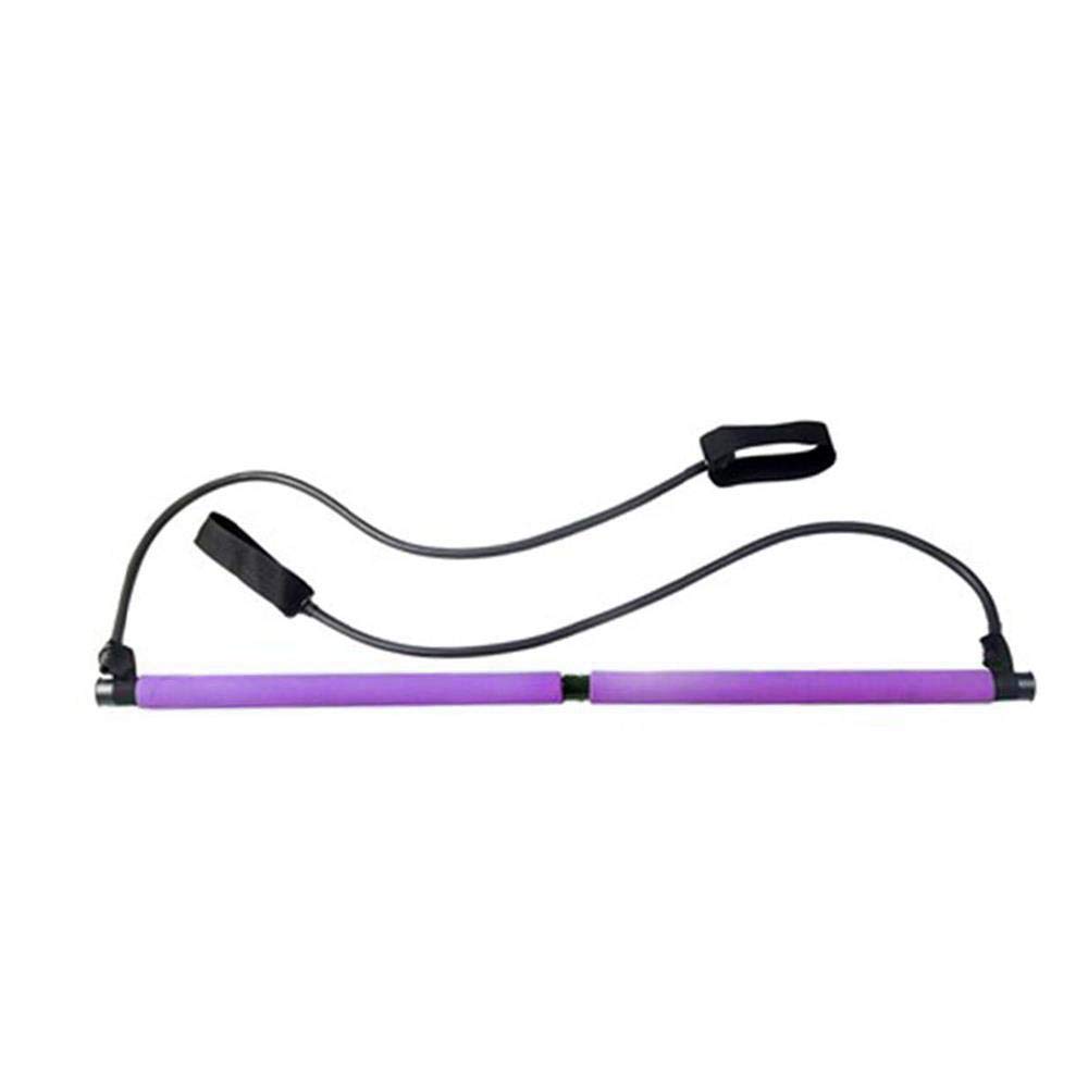 delta spor Portable Pilates Studio Jimnastik Egzersiz Çubuğu, Mor