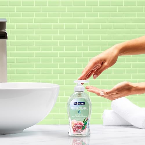 Best Antibacterial Hand Soap for Sensitive Skin: 12 Gentle Yet Effective Options for Seniors 5 Softsoap Antibacterial Hand Soap, Rosewater & Aloe Scent, 11.25 oz (6 Pack)
