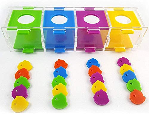 Bird Intelligence Training Toy Color Separation Coin Box Education Interactive Playing Puzzle Toy for African Grey Parakeet Cockatiel Cockatoo Finch Canary Budgie Conure Lovebird Amazon