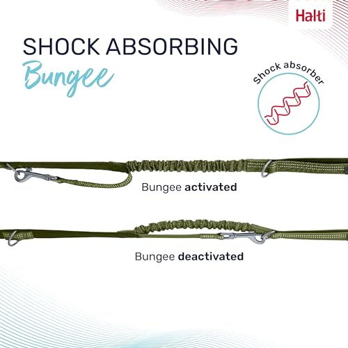 Image of Halti Anatomy Multifunctional Dog Leash | Size Small, Green | Shock Absorbing Double-Ended Leash, Ideal for Puppy and Dog Walking & Training. Comfortable to Hold, Reflective & Lightweight
