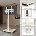 AX WABER Mobile TV Stand for 27 to 65 Inch TVs,Portable Rolling TV Cart on Wheels, Tall Universal Floor Stands with Swivel Mount, Height Adjustable Sleeking Standing Mount Fit Corner, Bedroom, Outdoor