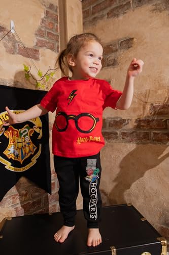 Harry Potter Gryffindor Slytherin Hufflepuff Ravenclaw Fleece 2 Pack Jogger Pants Toddler to Big Kid4