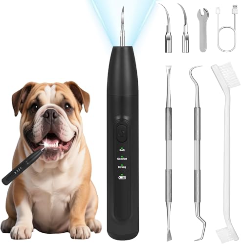 Image of Dog Teeth Cleaning Kit,Dogs Tooth Brushing Kit with Light,3 Modes Doggie Toothbrush, Dog Plaque and Tartar Remover for Teeth,Low Noise Pet Teeth Cleaner,Dark Black