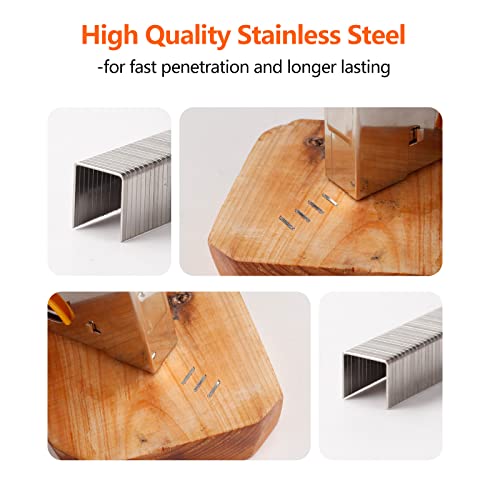 Image of Heavy Duty T50 Staples 1000-Count 2 Sizes 304 Stainless Steel