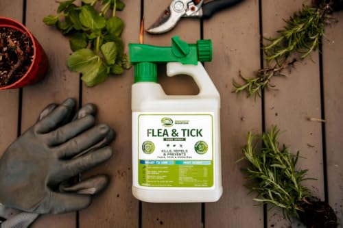 Image of Mosquito Magician Flea and Tick Yard Spray with Hose End Sprayer - Mosquito & Tick Killer and Repellent, Flea Treatment & Outdoor Bug Control for Lawn, Garden & Backyard - Mint Scent, 32 OZ