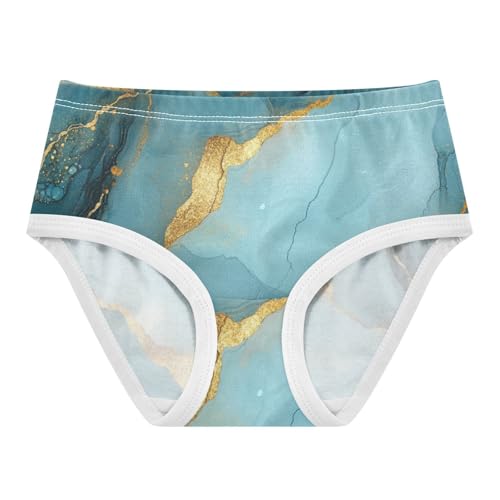 Brief Panties Stretchy Triangle Panties Organic Underwear for Young Girls in Sizes 2T,3T, 4T, 5T, 6Y and 8Y