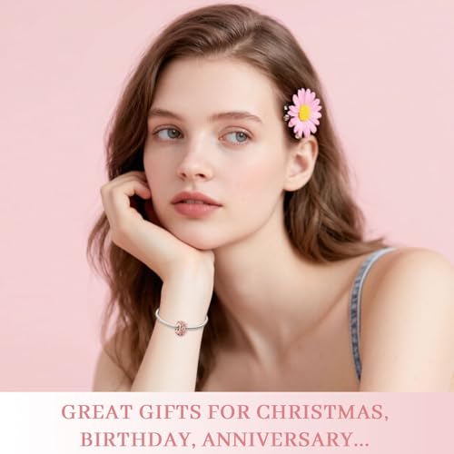 Annmors Rose Gold Charms for Bracelets 925 Sterling Silver Dangle for Women Bracelet & Necklace Pendant4