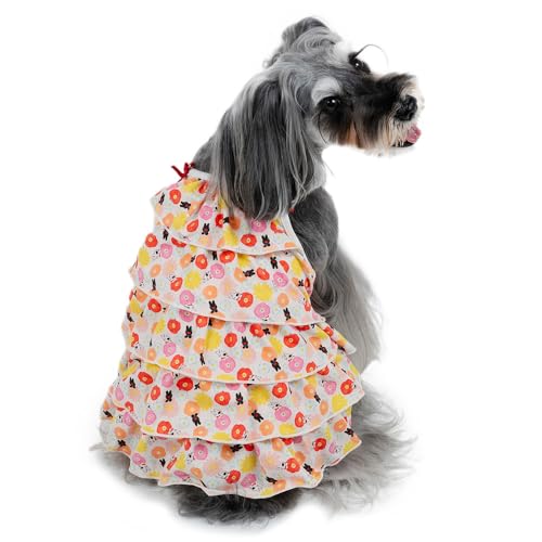 ybgp_CX   t  GRbV ԕ s[X TƃKXp[ { t yQl DSS _bNX (`3.5kg) ybgp_CXcX72XܓWJ2025/10/1_z