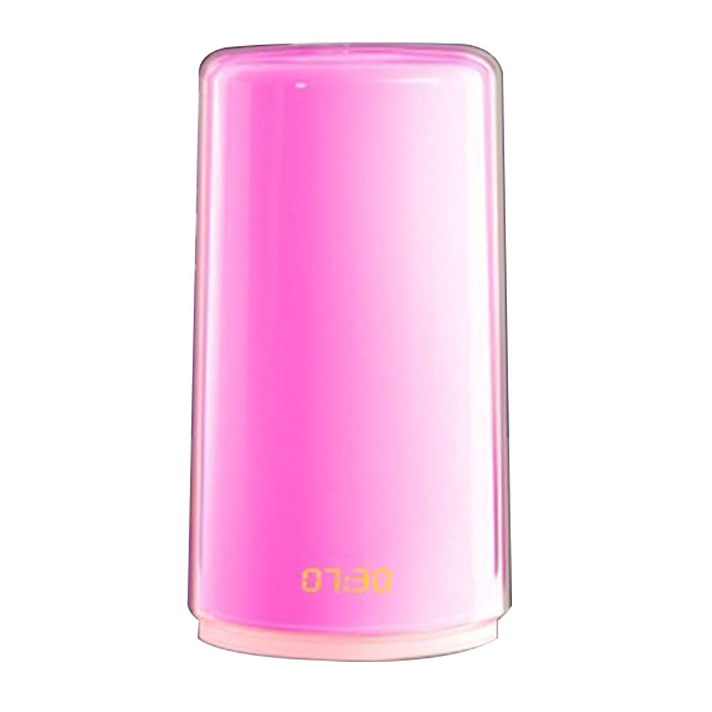 Sunrise Simulation Wake Up Light, Touch Control, 3 Livelli di Luminosità, Sveglia, per Camera da Letto, Soggiorno, Ufficio