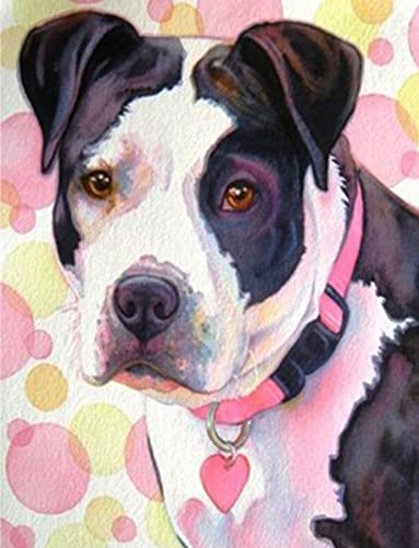 Kit point de croix débutant bouledogue imprimé 11CT broderie 40x50 cm
