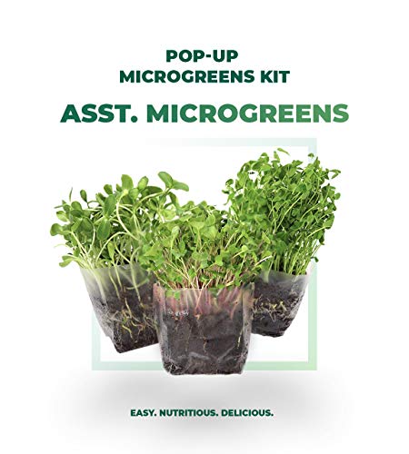 Indoor Microgreens Seed Starter Vegan Growing Kit – Includes Assorted Seeds, 3qts Organic