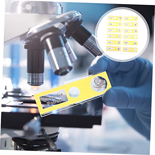 FUNOMOCYA 12pcs Glass Slide Microscope Slide for Kids Plastic Prepared Microscope Slides Child Botany 8 41yvcor23kL