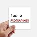 DIYthinker Citazione io sono un programmatore Piazza Adesivi 10cm parete Valigia Laptop Motobike Decal 8pz 10Cm X 10Cm