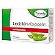 Astrid Twardy Lecithin Kapseln, mit hochwertigen Phospholipiden aus Soja, Weichkapseln, ohne Gentechnik– 60 Kapseln