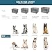 Petsfit Hundebox für Zuhause, Hundebox faltbar für mittlere kleine Hunde, Hundetransportbox Auto Verstellbares Design Hundeschlafbox, Zimmerkennel Hund mit Reißfeste Netzfenster & plüsche Betteinlage