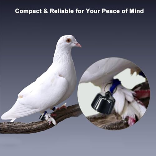 Mini Haustierortungsgerät Katzen Hunde kompatibel mit iOS Android weltweite Ortung ohne ABO für Halsbänder kleine Tiere Freigänger wasserdicht leicht (1 Stück)