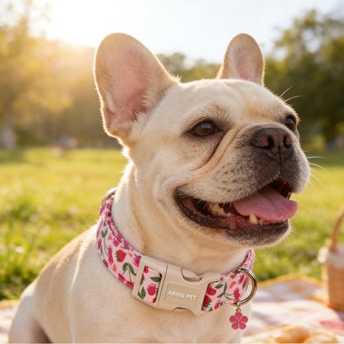 Image of ARING PET Dog Collar, Cute Spring Summer Strawberry Cherry Pet Collars for Puppy Small Medium Large Boy Girl Dogs-L, for Daily Outdoor Walking Training