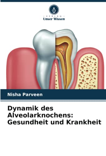 Dynamik des Alveolarknochens: Gesundheit und Krankheit