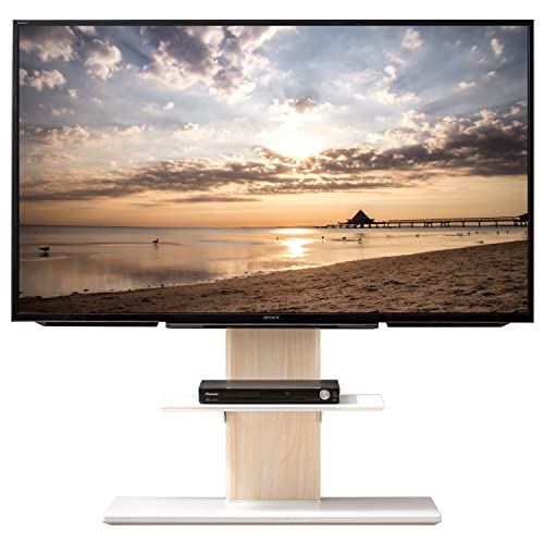 ^X̃Q erX^h ^erΉ 65`90C`Ή [^Cv nC^Cv  9iK ]|h~C[ It Ǌ [  er I[N 45400046 01(78969)