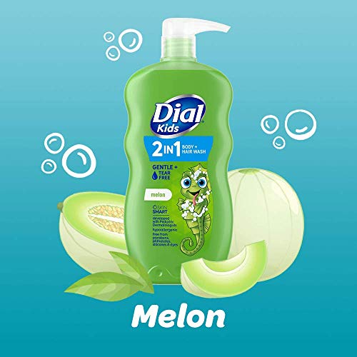 Dial Kids 2-In-1 Body+Hair Wash, Melon, 24 Fl Oz (Pack Of 4) #TOP3