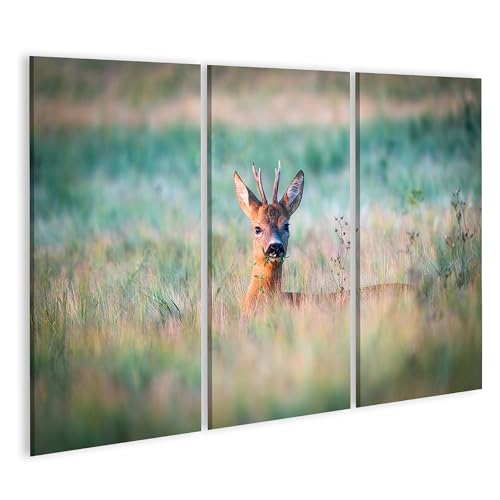 Tableau sur toile chevreuil poster decoration murale nature verte