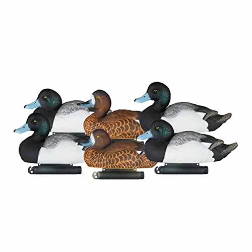 Dakota Decoy X-Treme Bluebill Duck Decoy Pack of 6