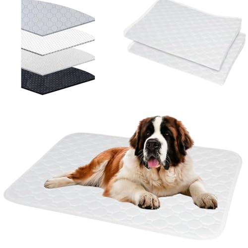 Lifetips ZgEo[i[hiSaint Bernardj 􂦂ybgV[c ybgV[c 􂦂 2Zbg ~ V[cCh V[g L ۂƐ􂦂 ~}bg ld\ Rh~  ~ ^ ^  p 