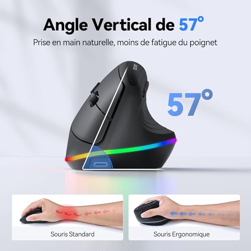 Souris Bluetooth + 2.4GHz compatible PC Windows et Mac OS