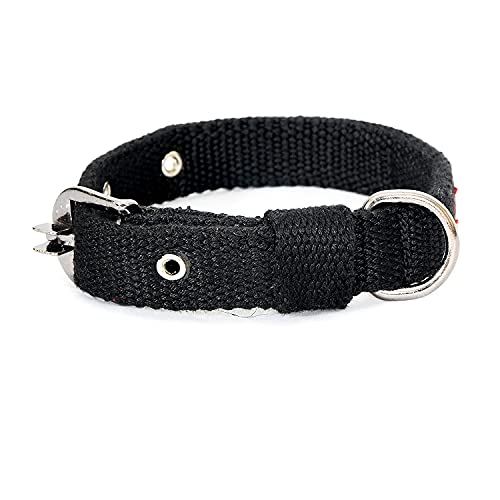 PetsLike Spun Poly Collar, Black (25 mm) (B07FPX6M46) Amazon Price History, Amazon Price Tracker