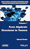 From Algebraic Structures to Tensors (Digital Signal and Image Processing: Matrices and Tensors in Signal Processing Set)