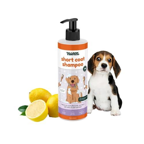 Image of Pawpaya Shampoo Pawpaya Shampoo for Dogs | Gentle Deep Cleansing Formula for Healthy Skin & Soft, Shiny Coat | Suitable for All Dog Breeds & Coat TypesDogs (Short Coat Shampoo)