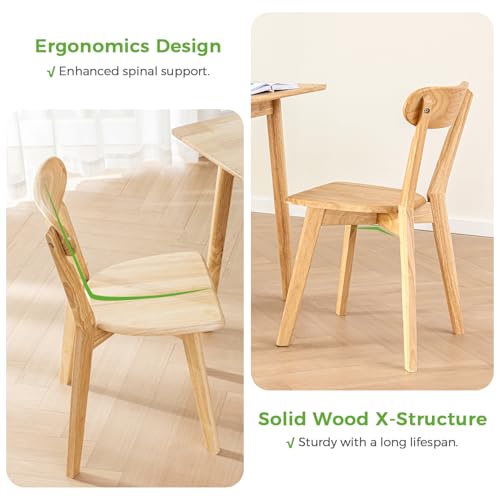 DELAVIN Solid Wood Dining Chairs Set of 4, Farmhouse Oak Wood Kitchen Chair, Mid Century Modern Dining Room Chairs, Natural