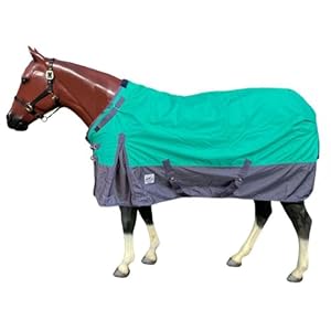 1680 Denier Waterproof Adjustable Neck Turnout Blanket – 300gr Fill