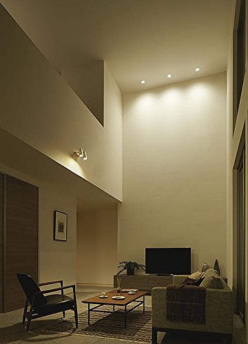 【新品・未開封】DSL-5329WW DAIKOスポットライト非調光　2個セット 新品・未開封】DSL-5329WW DAIKOスポットライト非調光 2個セット DAIKO 大