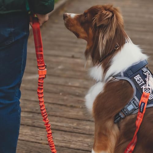 Image of Auroth Tactical Dog Harness for Small Medium Dogs No Pull Adjustable Pet Harness Reflective K9 Working Training Easy Control Pet Vest Military Service Dog Harnesses Grey S