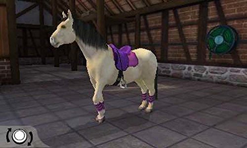 I Love My Pony 3ds - vue 4
