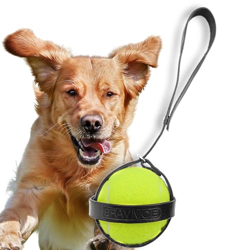 Bravvoe Porta Pelotas Perro De Cuero Genuino - Portapelotas Mascota Para Pelota Tenis - Aventura Y Paseo - Accesorio Para Pelotas Y Bolas Negro Bravvoe Porta Pelotas Perro De Cuero Genuino - Portapelotas Mascota Para Pelota Tenis - Aventura Y Paseo - Accesorio Para Pelotas Y Bolas Negro