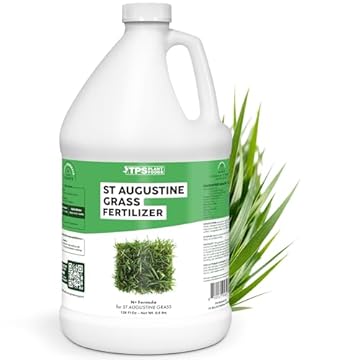 best lawn fertilizer for st augustine grass