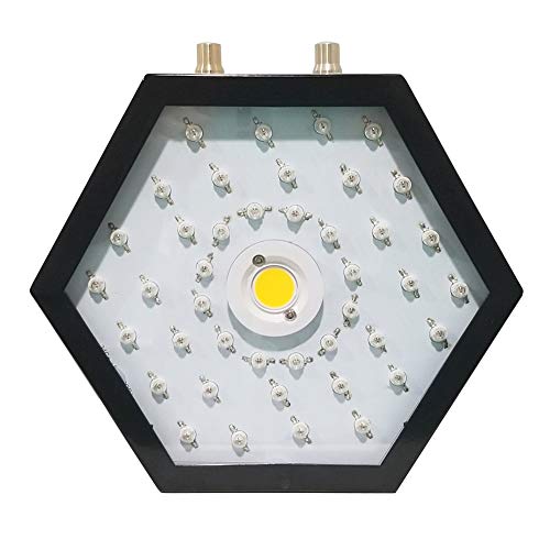 1100W Optical Lense Series LED Pflanzenlampe Dual LED Grow Light Vollspektrum Wachsen Mit Schalter Für Zimmerpflanzen Gemüse Und Blumen
