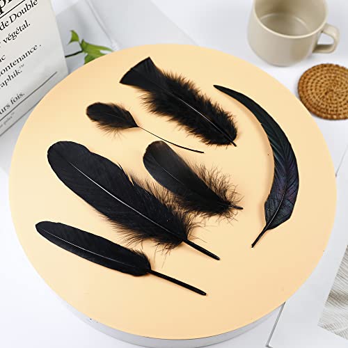 Larryhot Black Craft Feathers Bulk - 240Pcs 6 Style Mixed Natural Feathers For Wedding Home Party, Dream Catcher Supplies And Diy Crafts (Black) #TOP6
