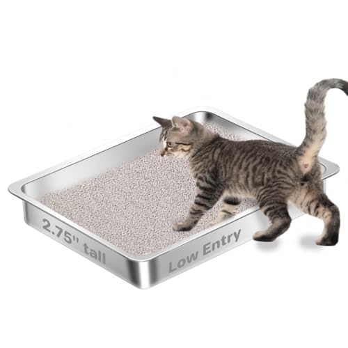 Amibud Low Entry Stainless Steel Box