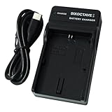 str LP-E6 LP-E6N LP-E6NH キヤノン 互換充電器 USB チャージャー LC-E6 イオス EOS 70D/EOS 70D MarkII/EOS 6D/EOS 60D/EOS 7D/EOS 5D MarkIII/EOS 60Da/EOS 70D/EOS 5Ds/EOS 5Ds R/EOS 80D/EOS 90D/EOS Ra/EOS R5/EOS R6/EOS R7 等対応