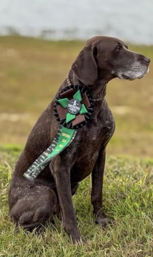 E 271. Hunting and Training with Wirehair Outdoors