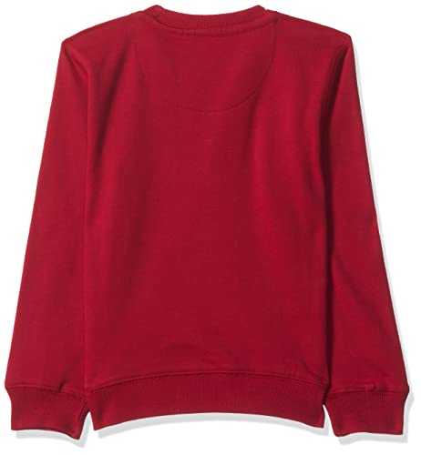 Image of U.S. Polo ASSN. Boys Sweatshirts