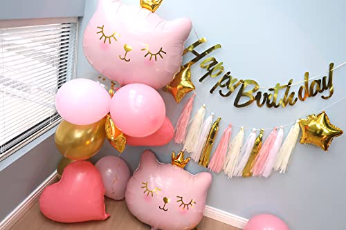 Regendeko Happy Birthday Pink Gatti, decorazione