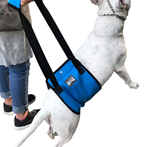 nikkai؁j  tgn[lX s⏕ sT|[g xg V VjA V u[ STCY